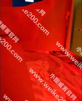 五一路梦巴黎成熟少妇嗨一嗨